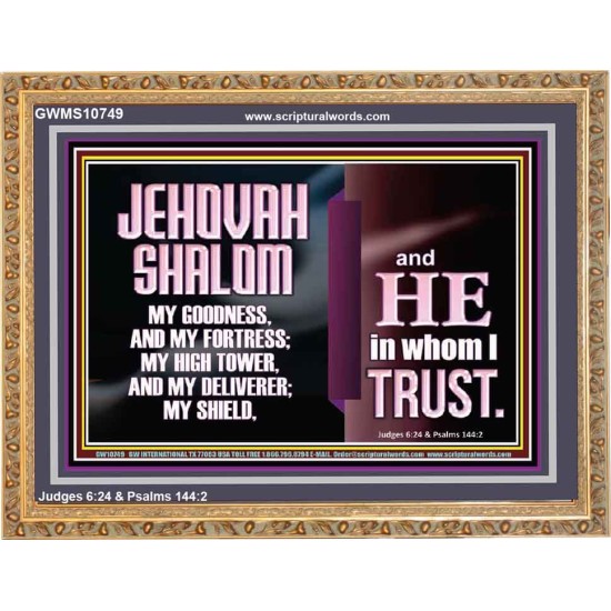 JEHOVAH SHALOM OUR GOODNESS FORTRESS HIGH TOWER DELIVERER AND SHIELD  Encouraging Bible Verse Wooden Frame  GWMS10749  