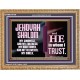 JEHOVAH SHALOM OUR GOODNESS FORTRESS HIGH TOWER DELIVERER AND SHIELD  Encouraging Bible Verse Wooden Frame  GWMS10749  