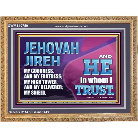 JEHOVAH JIREH OUR GOODNESS FORTRESS HIGH TOWER DELIVERER AND SHIELD  Encouraging Bible Verses Wooden Frame  GWMS10750  