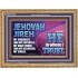 JEHOVAH JIREH OUR GOODNESS FORTRESS HIGH TOWER DELIVERER AND SHIELD  Encouraging Bible Verses Wooden Frame  GWMS10750  "34x28"