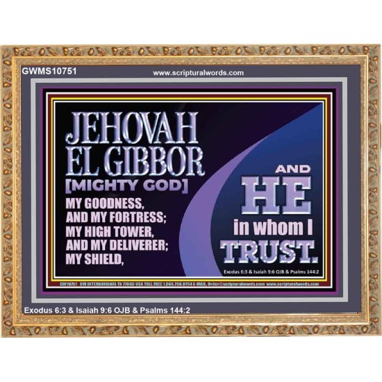 JEHOVAH EL GIBBOR MIGHTY GOD OUR GOODNESS FORTRESS HIGH TOWER DELIVERER AND SHIELD  Encouraging Bible Verse Wooden Frame  GWMS10751  