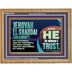 JEHOVAH EL SHADDAI GOD ALMIGHTY OUR GOODNESS FORTRESS HIGH TOWER DELIVERER AND SHIELD  Christian Quotes Wooden Frame  GWMS10752  "34x28"