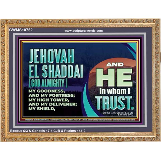 JEHOVAH EL SHADDAI GOD ALMIGHTY OUR GOODNESS FORTRESS HIGH TOWER DELIVERER AND SHIELD  Christian Quotes Wooden Frame  GWMS10752  