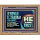 JEHOVAH EL SHADDAI GOD ALMIGHTY OUR GOODNESS FORTRESS HIGH TOWER DELIVERER AND SHIELD  Christian Quotes Wooden Frame  GWMS10752  