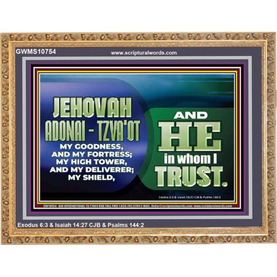 JEHOVAI ADONAI - TZVA'OT OUR GOODNESS FORTRESS HIGH TOWER DELIVERER AND SHIELD  Christian Quote Wooden Frame  GWMS10754  