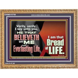 HE THAT BELIEVETH ON ME HATH EVERLASTING LIFE  Contemporary Christian Wall Art  GWMS10758  "34x28"