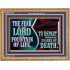 THE FEAR OF THE LORD IS A FOUNTAIN OF LIFE TO DEPART FROM THE SNARES OF DEATH  Scriptural Wooden Frame Wooden Frame  GWMS10770  "34x28"