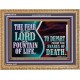 THE FEAR OF THE LORD IS A FOUNTAIN OF LIFE TO DEPART FROM THE SNARES OF DEATH  Scriptural Wooden Frame Wooden Frame  GWMS10770  
