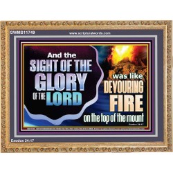 THE SIGHT OF THE GLORY OF THE LORD  Eternal Power Picture  GWMS11749  "34x28"