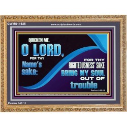FOR THY RIGHTEOUSNESS SAKE BRING MY SOUL OUT OF TROUBLE  Ultimate Power Wooden Frame  GWMS11925  "34x28"