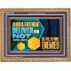 DELIVER ME NOT OVER UNTO THE WILL OF MINE ENEMIES  Children Room Wall Wooden Frame  GWMS12024  