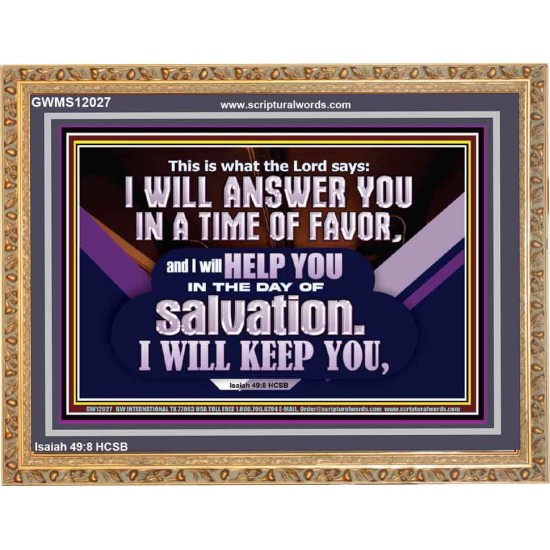 THIS IS WHAT THE LORD SAYS I WILL ANSWER YOU IN A TIME OF FAVOR  Unique Scriptural Picture  GWMS12027  