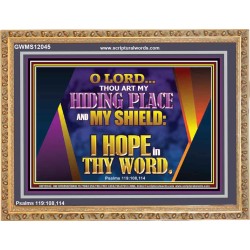 THOU ART MY HIDING PLACE AND SHIELD  Bible Verses Wall Art Wooden Frame  GWMS12045  "34x28"
