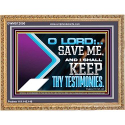 SAVE ME AND I SHALL KEEP THY TESTIMONIES  Wall Décor Wooden Frame  GWMS12050  
