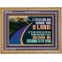 LET MY SUPPLICATION COME BEFORE THEE O LORD  Scripture Art Wooden Frame  GWMS12053  "34x28"