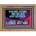 THE LORD WILL DO GREAT THINGS  Custom Inspiration Bible Verse Wooden Frame  GWMS12147  "34x28"