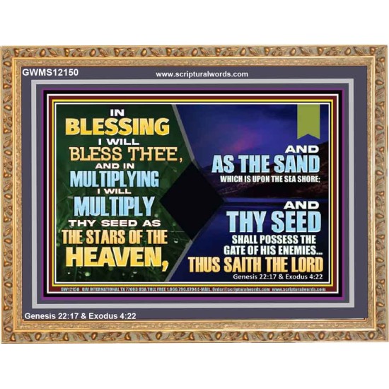 IN BLESSING I WILL BLESS THEE  Unique Bible Verse Wooden Frame  GWMS12150  