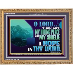 THOU ART MY HIDING PLACE AND SHIELD  Large Custom Wooden Frame   GWMS12159  "34x28"
