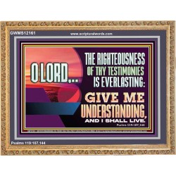 THE RIGHTEOUSNESS OF THY TESTIMONIES IS EVERLASTING O LORD  Bible Verses Wooden Frame Art  GWMS12161  "34x28"