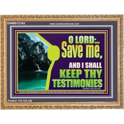 SAVE ME AND I SHALL KEEP THY TESTIMONIES  Inspirational Bible Verses Wooden Frame  GWMS12163  