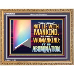 THOU SHALT NOT LIE WITH MANKIND AS WITH WOMANKIND IT IS ABOMINATION  Bible Verse for Home Wooden Frame  GWMS12169  "34x28"