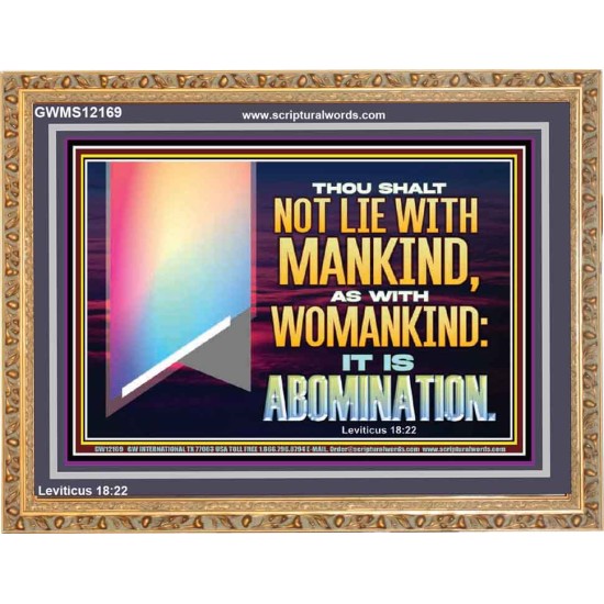 THOU SHALT NOT LIE WITH MANKIND AS WITH WOMANKIND IT IS ABOMINATION  Bible Verse for Home Wooden Frame  GWMS12169  