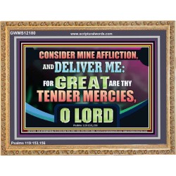 GREAT ARE THY TENDER MERCIES O LORD  Unique Scriptural Picture  GWMS12180  "34x28"