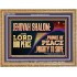 JEHOVAH SHALOM THE LORD OUR PEACE PRINCE OF PEACE  Righteous Living Christian Wooden Frame  GWMS12251  "34x28"