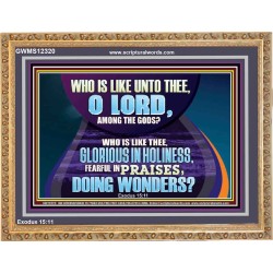 FEARFUL IN PRAISES DOING WONDERS  Ultimate Inspirational Wall Art Wooden Frame  GWMS12320  "34x28"