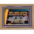 THE LORD LIVETH BLESSED BE MY ROCK  Righteous Living Christian Wooden Frame  GWMS12372  "34x28"