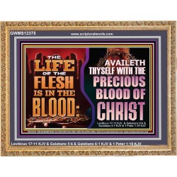 AVAILETH THYSELF WITH THE PRECIOUS BLOOD OF CHRIST  Children Room  GWMS12375  "34x28"