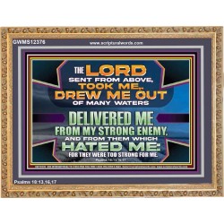 DELIVERED ME FROM MY STRONG ENEMY  Sanctuary Wall Wooden Frame  GWMS12376  "34x28"