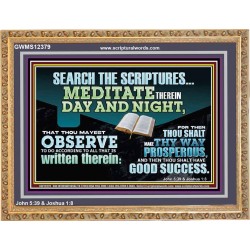 SEARCH THE SCRIPTURES MEDITATE THEREIN DAY AND NIGHT  Unique Power Bible Wooden Frame  GWMS12379  