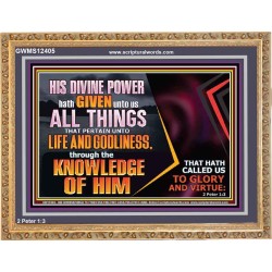 HIS DIVINE POWER HATH GIVEN UNTO US ALL THINGS  Eternal Power Wooden Frame  GWMS12405  "34x28"