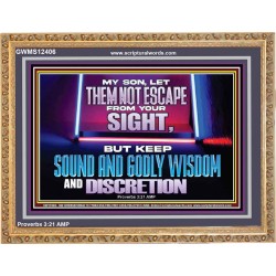 KEEP SOUND AND GODLY WISDOM AND DISCRETION  Church Wooden Frame  GWMS12406  "34x28"