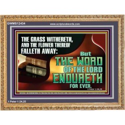 THE WORD OF THE LORD ENDURETH FOR EVER  Sanctuary Wall Wooden Frame  GWMS12434  "34x28"