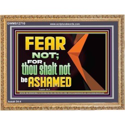 FEAR NOT FOR THOU SHALT NOT BE ASHAMED  Scriptural Wooden Frame Signs  GWMS12710  "34x28"