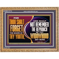 THOU SHALT FORGET THE SHAME OF THY YOUTH  Encouraging Bible Verse Wooden Frame  GWMS12712  "34x28"