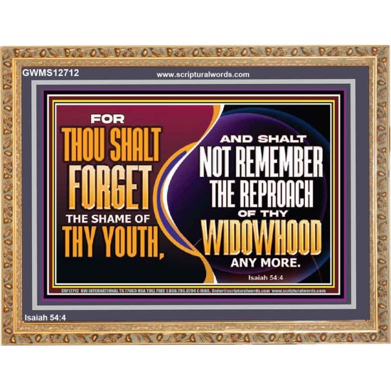 THOU SHALT FORGET THE SHAME OF THY YOUTH  Encouraging Bible Verse Wooden Frame  GWMS12712  
