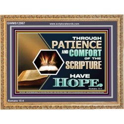 THROUGH PATIENCE AND COMFORT OF THE SCRIPTURE HAVE HOPE  Christian Wall Art Wall Art  GWMS12957  