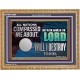 IN THE NAME OF THE LORD WILL I DESTROY THEM  Biblical Paintings Wooden Frame  GWMS12966  