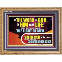 THE LIGHT SHINETH IN DARKNESS YET THE DARKNESS DID NOT OVERCOME IT  Ultimate Power Picture  GWMS12987  "34x28"