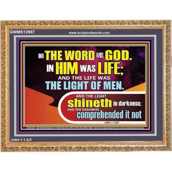 THE LIGHT SHINETH IN DARKNESS YET THE DARKNESS DID NOT OVERCOME IT  Ultimate Power Picture  GWMS12987  