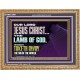 THE LAMB OF GOD WHICH TAKETH AWAY THE SIN OF THE WORLD  Children Room Wall Wooden Frame  GWMS12991  