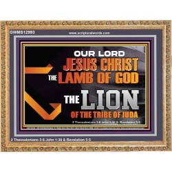 THE LION OF THE TRIBE OF JUDA CHRIST JESUS  Ultimate Inspirational Wall Art Wooden Frame  GWMS12993  "34x28"