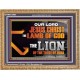 THE LION OF THE TRIBE OF JUDA CHRIST JESUS  Ultimate Inspirational Wall Art Wooden Frame  GWMS12993  