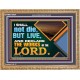 I SHALL NOT DIE BUT LIVE AND DECLARE THE WORKS OF THE LORD  Eternal Power Wooden Frame  GWMS13034  