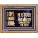 THE LORD IS GOOD HIS MERCY ENDURETH FOR EVER  Unique Power Bible Wooden Frame  GWMS13040  