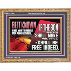 IF THE SON THEREFORE SHALL MAKE YOU FREE  Ultimate Inspirational Wall Art Wooden Frame  GWMS13066  "34x28"