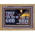 TRULY THIS WAS THE SON OF GOD HE IS RISEN FROM THE DEAD  Sanctuary Wall Wooden Frame  GWMS13092  "34x28"